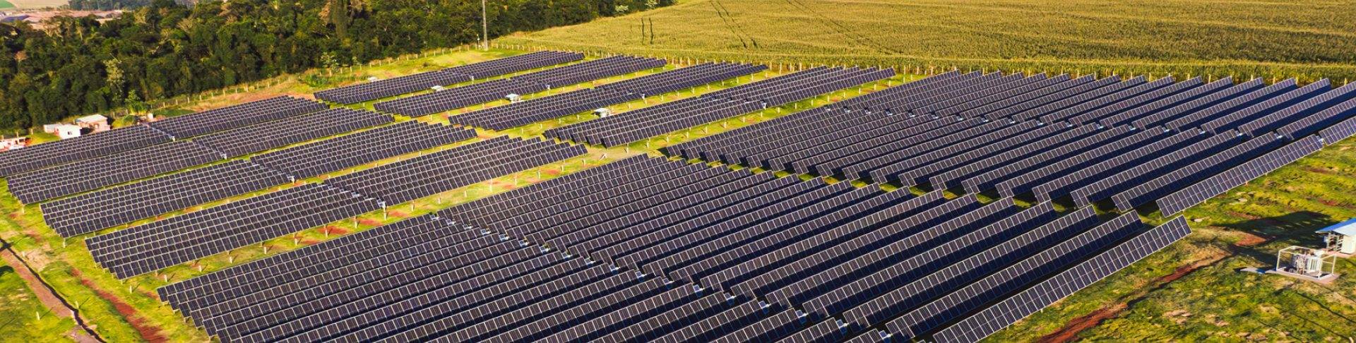 Usina solar da Ilumisol vista de cima, com fileiras de módulos fotovoltaicos entre lavouras